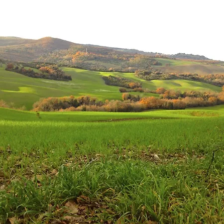 Podere Il Chiesino Bed & Breakfast *