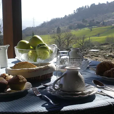 Podere Il Chiesino Bed & Breakfast